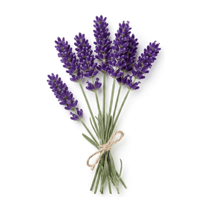 Lavender - heart note in Waterfall Black - Dark. Sharp. Unforgettable.